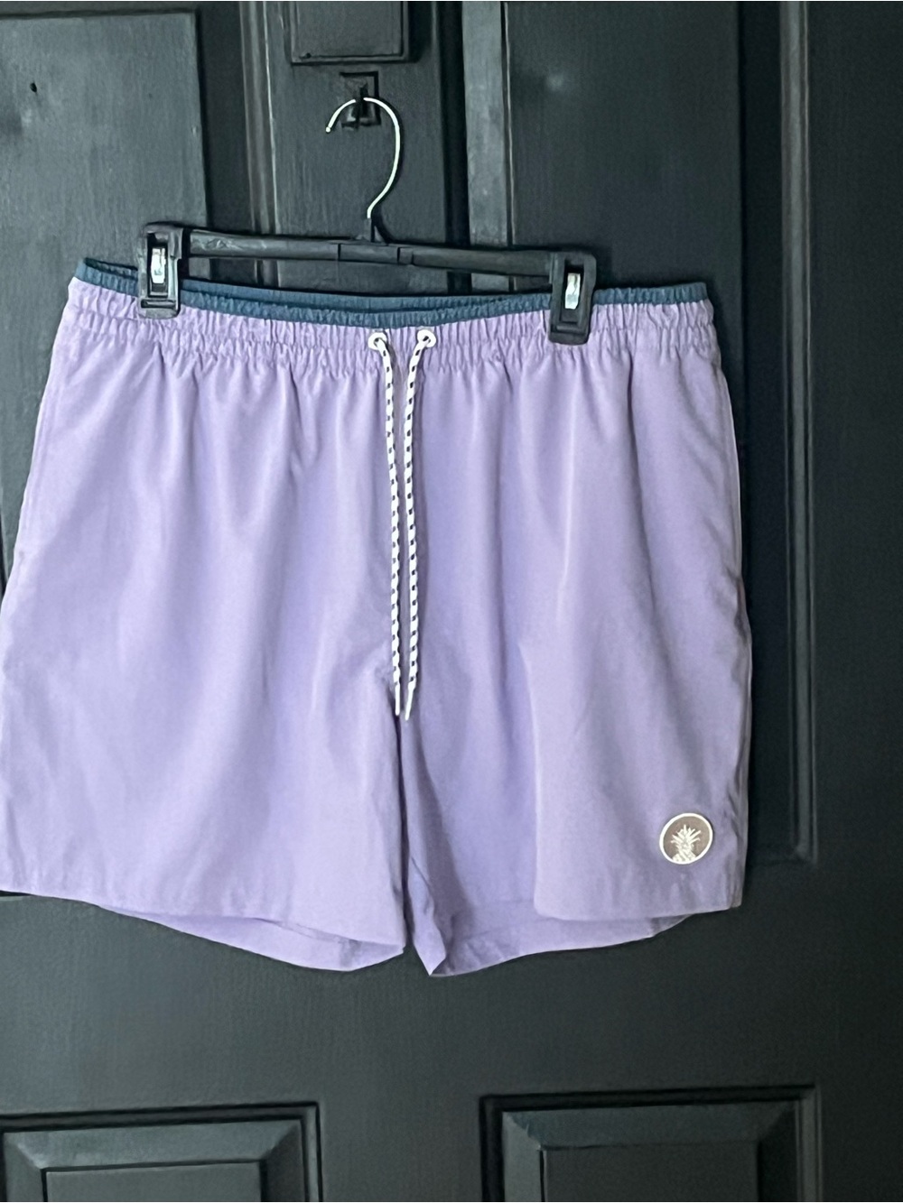 chubbies Lavender Swim Trunks with Pineapple Label